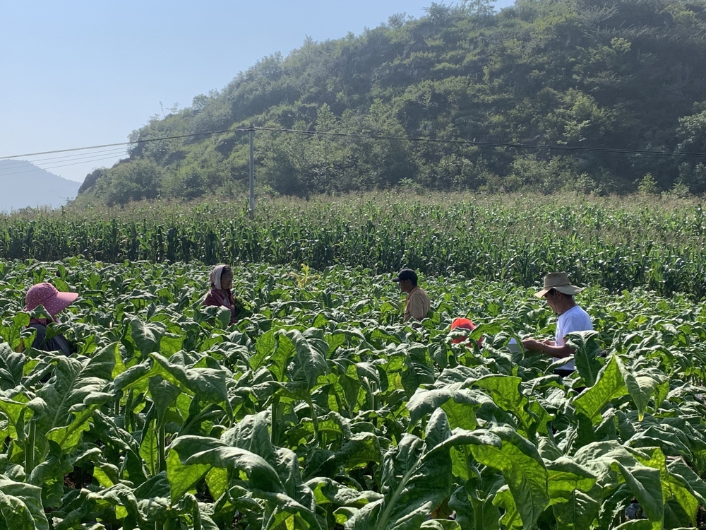 贵州首钢水钢技师学院开展技能培训用实际行动服务乡村振兴计划行动02